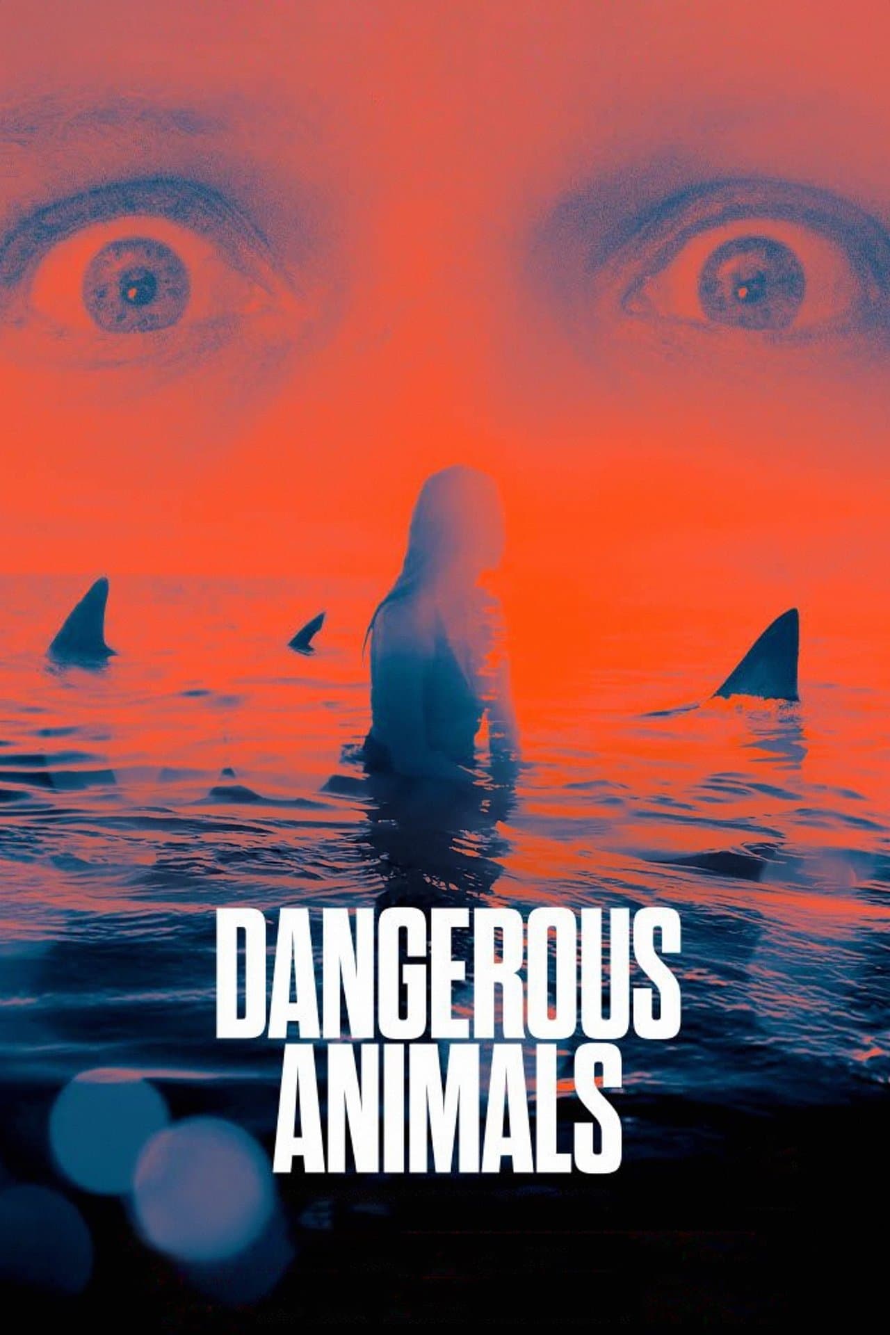 No poster image